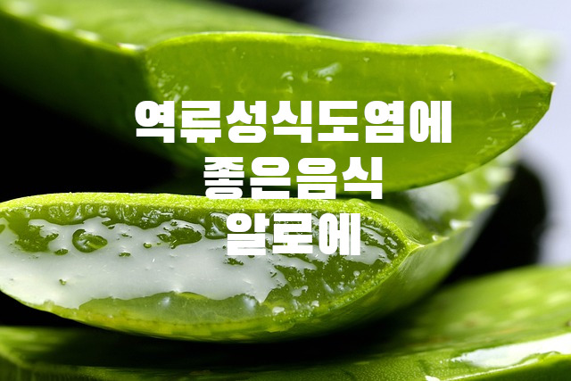 역류성식도염에좋은음식알로에