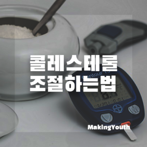 콜레스테롤조절하기