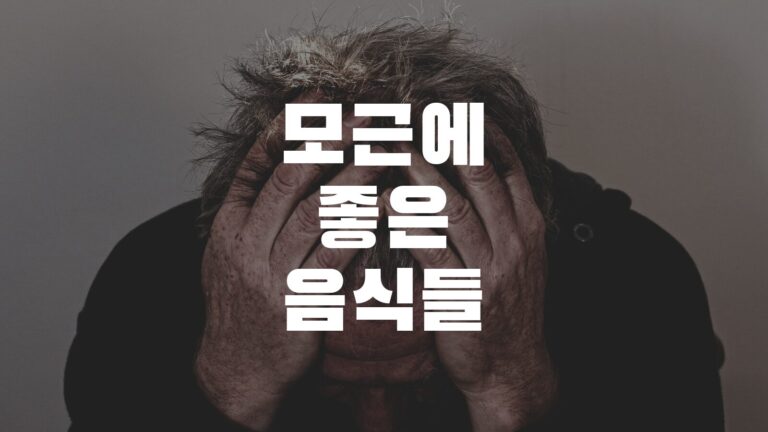 모근에좋은음식