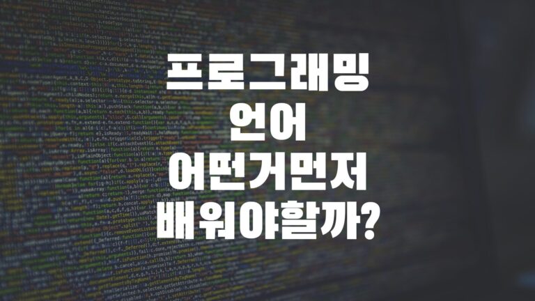 프로그래밍언어어떤거먼저배워야하나