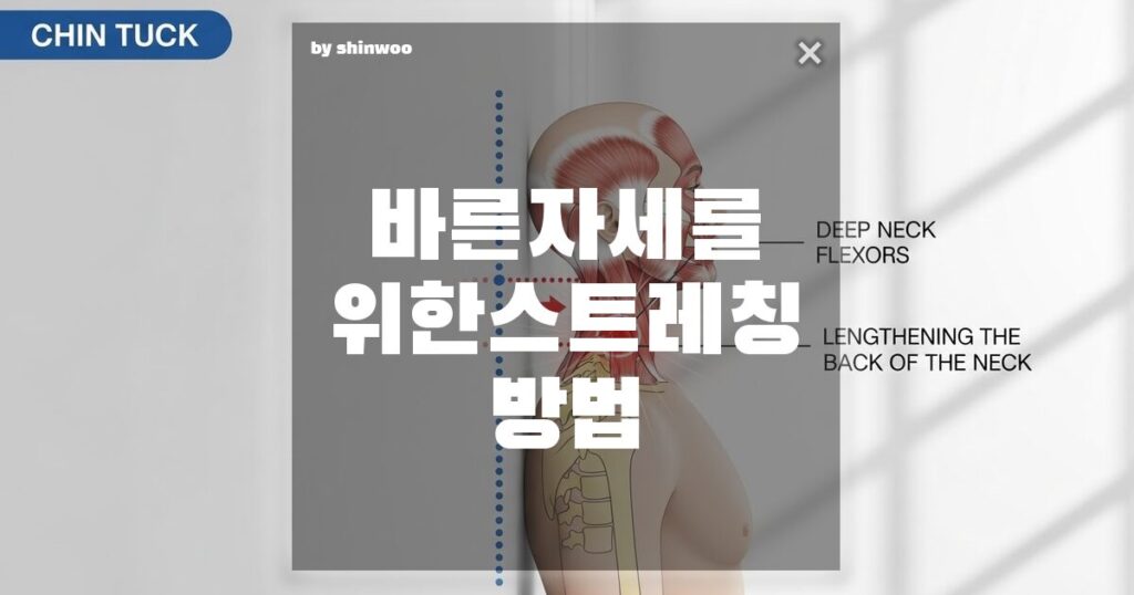 바른 자세를 위한 스트레칭, 이 부위 안 풀면 거북목/굽은 어깨 절대 못 고칩니다