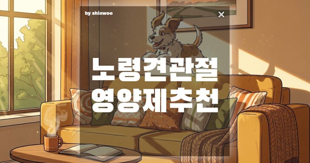 노령견 관절 영양제, 자꾸 주저앉는 우리 아이 뒷다리 힘 빡! 세우는 비결