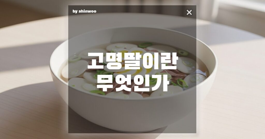 고명딸 뜻, 단순히 '외동딸'일까? 음식의 맛을 더하는 '고명'에 담긴 비밀